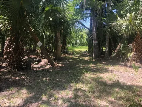 241 Nova Drive Sanford FL 32771