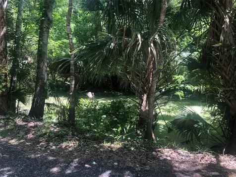 241 Nova Drive Sanford FL 32771