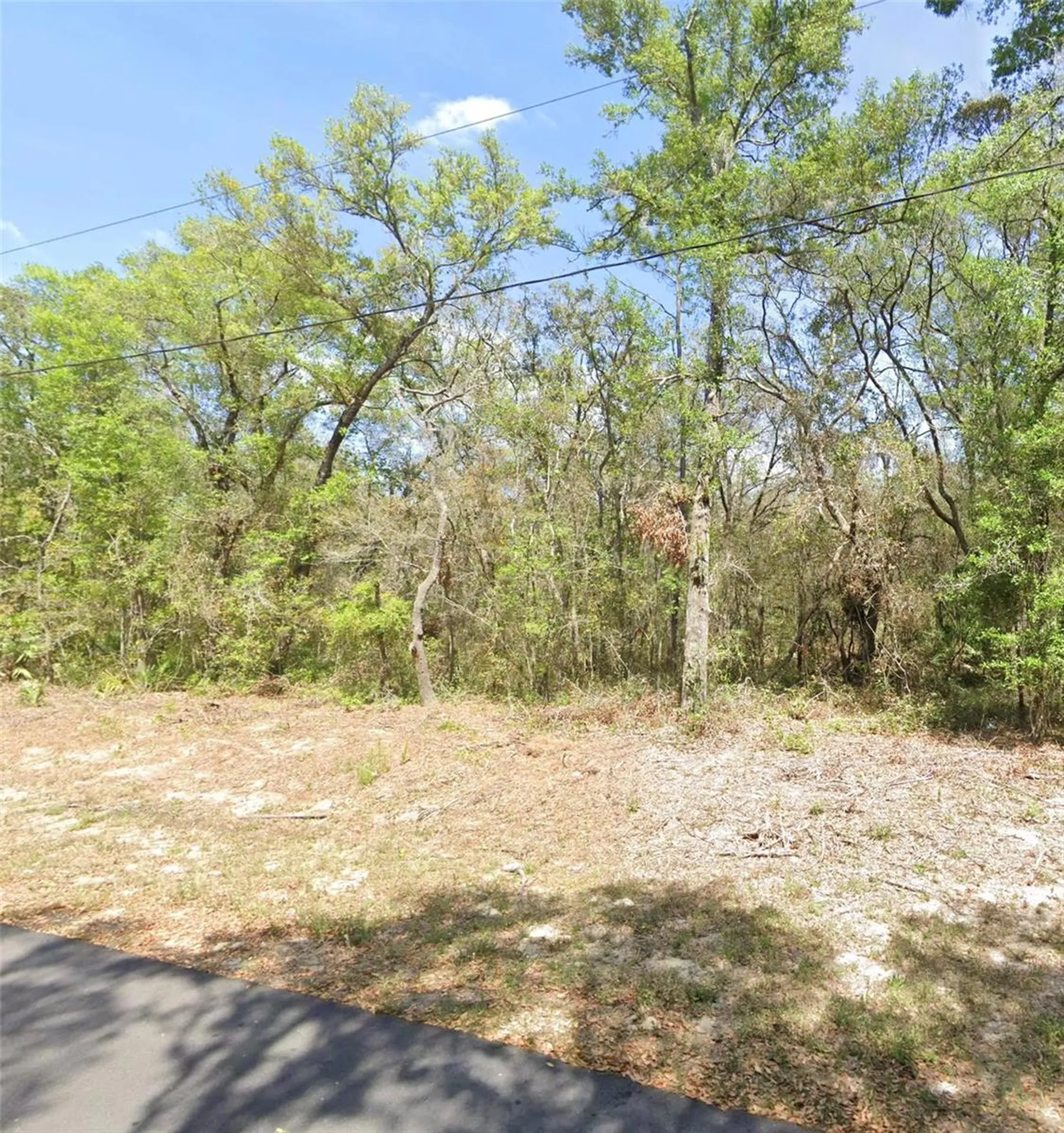 Tbd Locust Terrace Place Ocala FL 34472