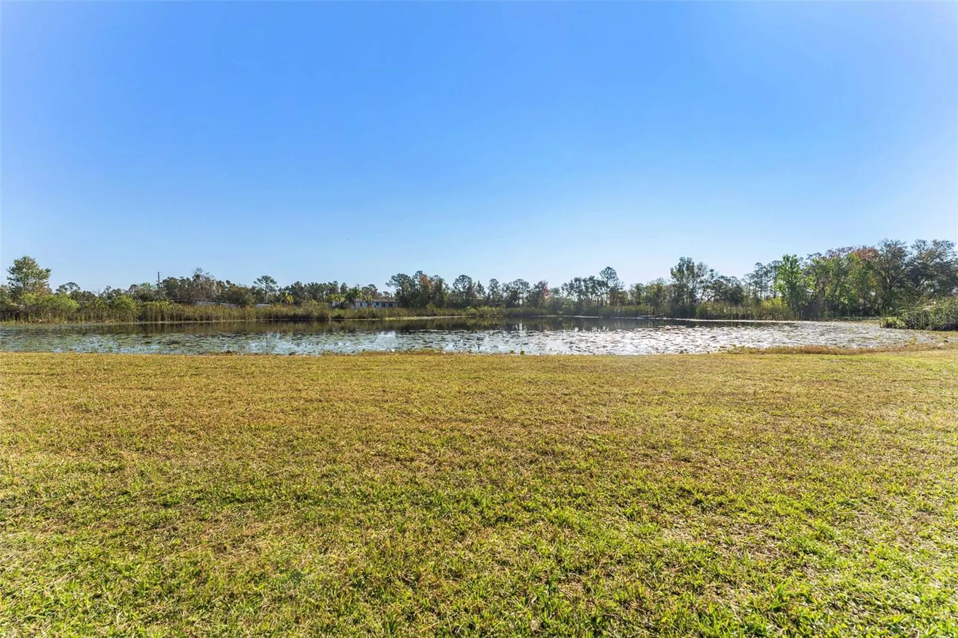 6288 Shiner Street Land O Lakes FL 34638