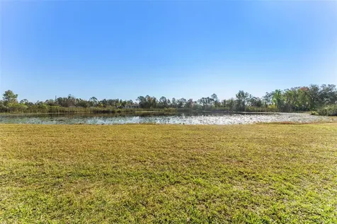 6288 Shiner Street Land O Lakes FL 34638