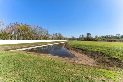 6288 Shiner Street Land O Lakes FL 34638