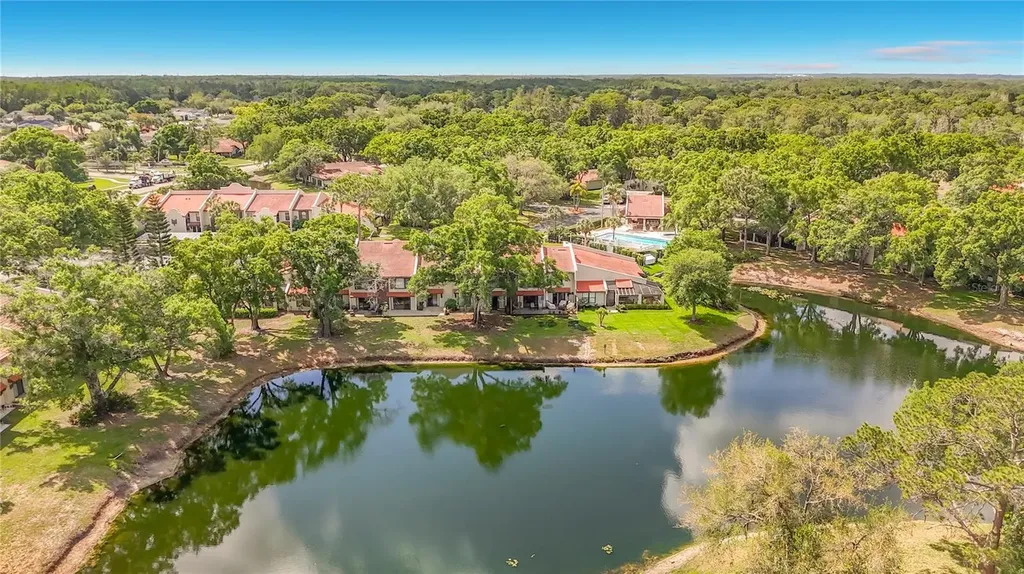 3505 Tarpon Woods Boulevard Palm Harbor FL 34685