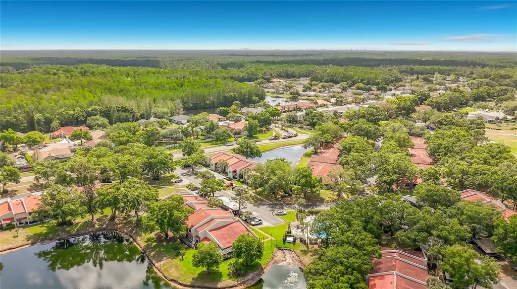 3505 Tarpon Woods Boulevard Palm Harbor FL 34685