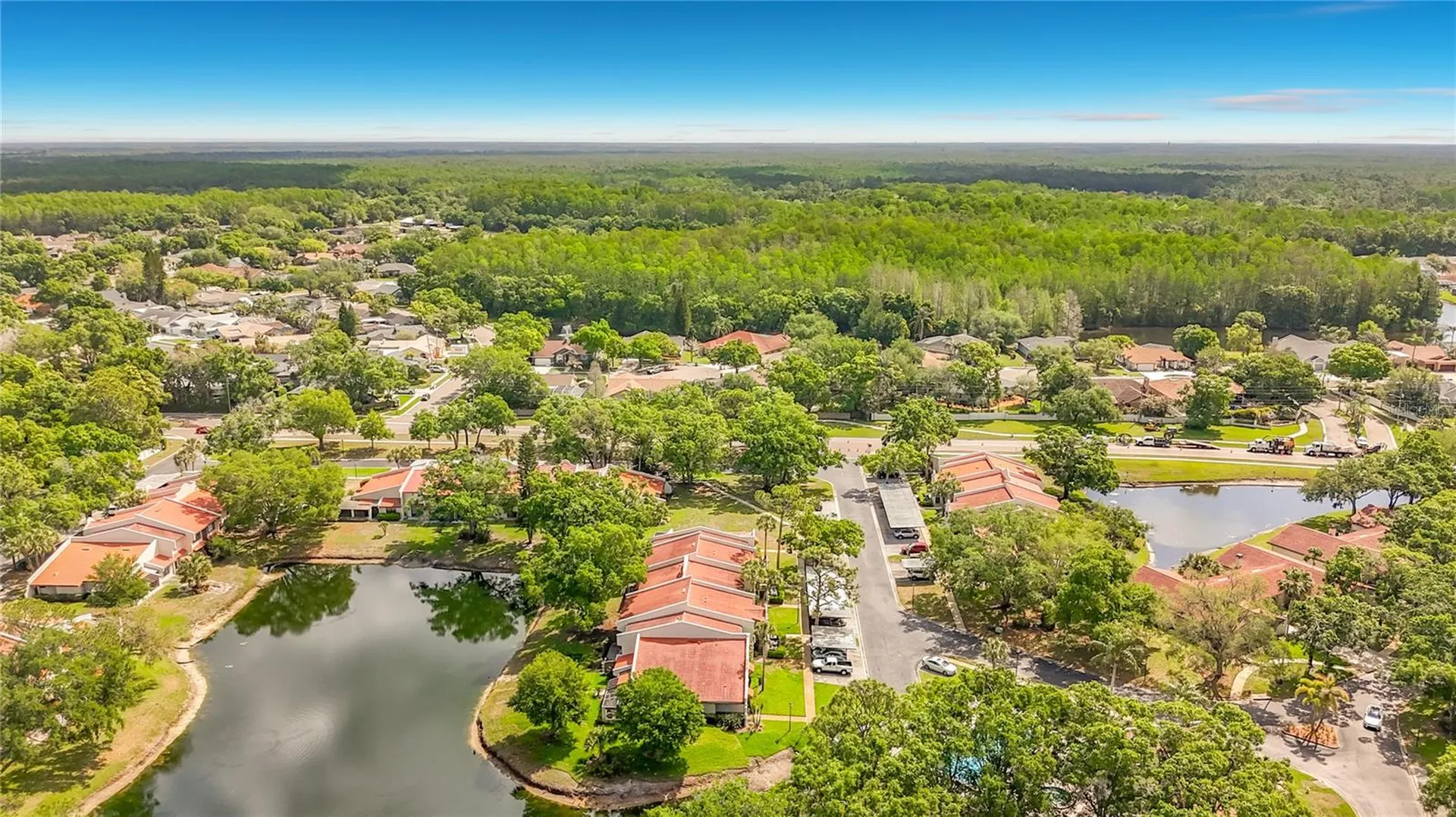 3505 Tarpon Woods Boulevard Palm Harbor FL 34685