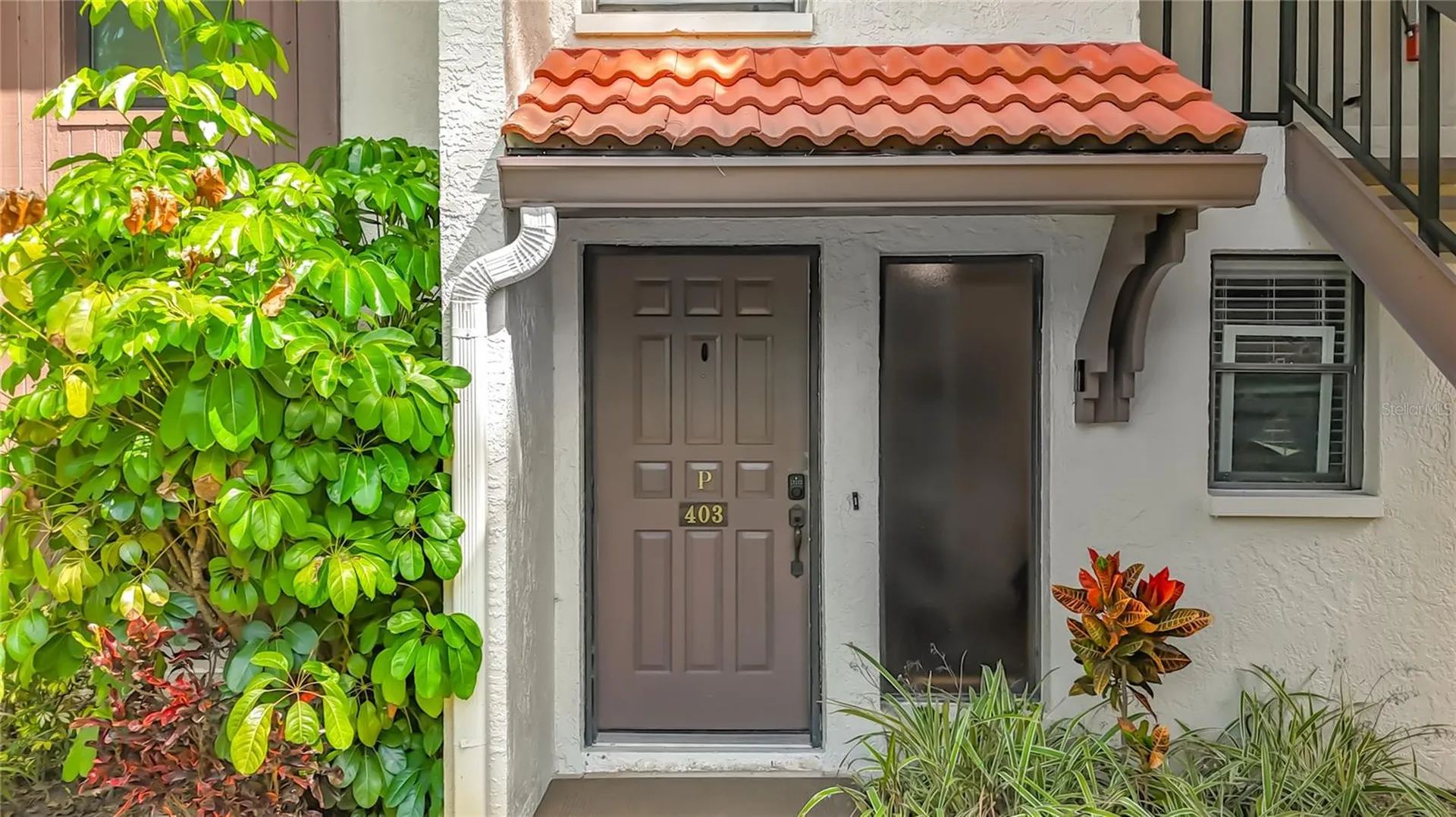 3505 Tarpon Woods Boulevard Palm Harbor FL 34685