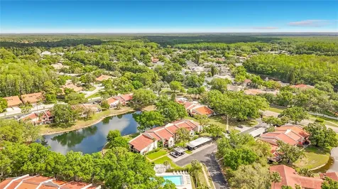 3505 Tarpon Woods Boulevard Palm Harbor FL 34685