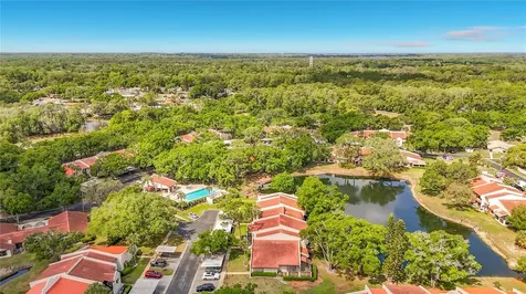 3505 Tarpon Woods Boulevard Palm Harbor FL 34685