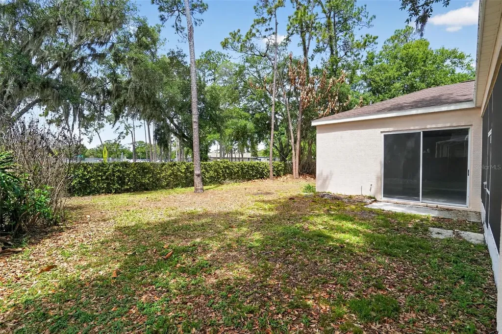3725 Hollow Wood Drive Valrico FL 33596