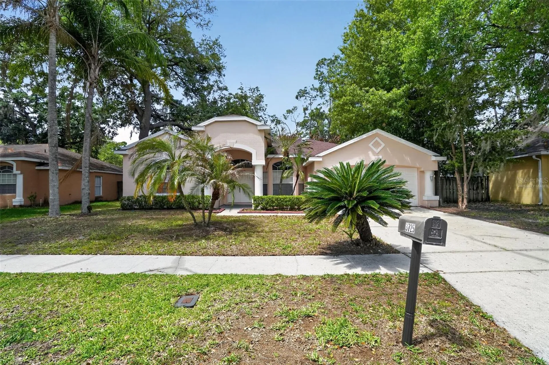 3725 Hollow Wood Drive Valrico FL 33596