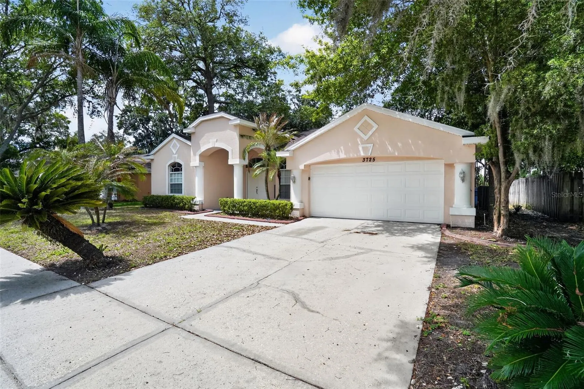 3725 Hollow Wood Drive Valrico FL 33596