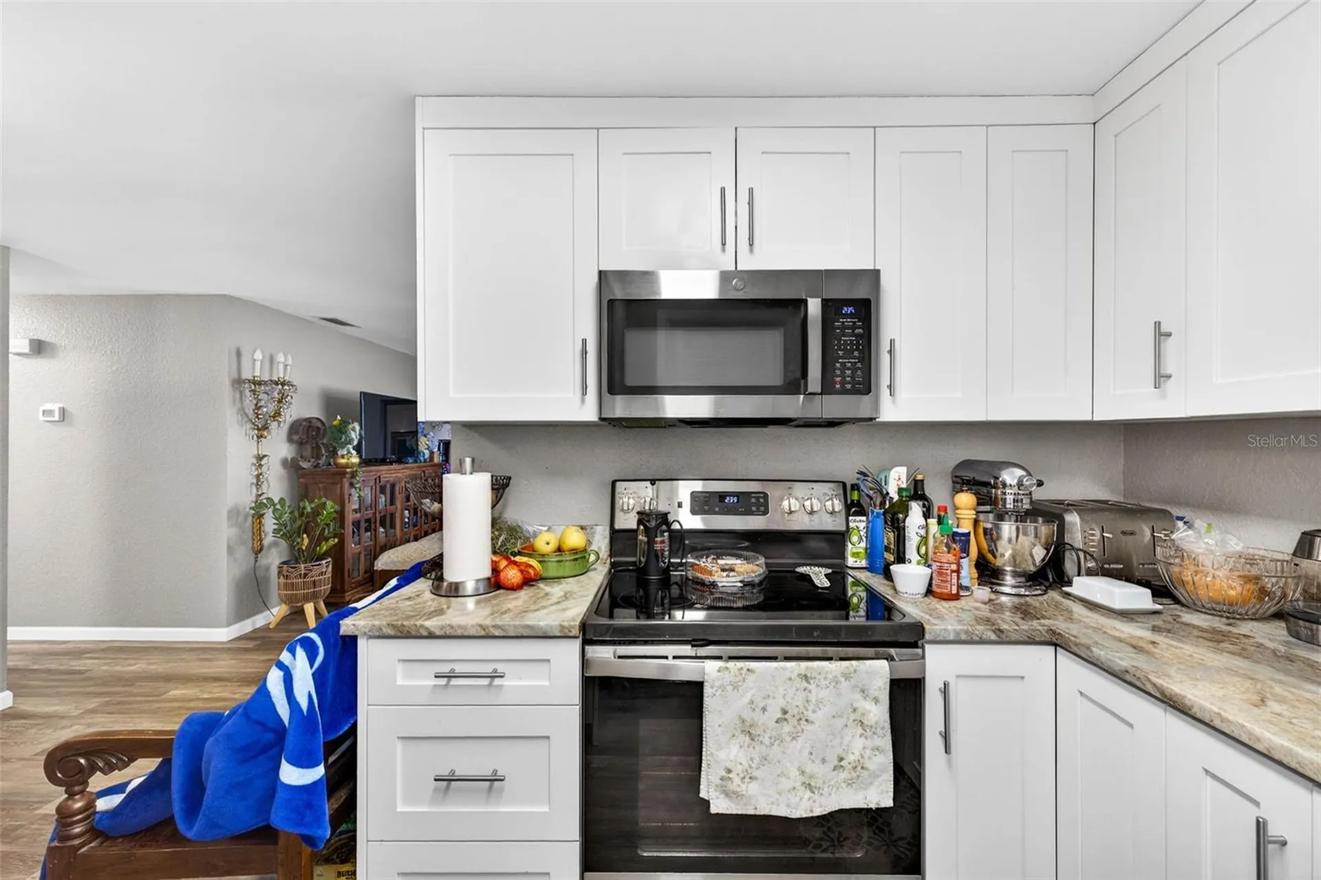 1016 Windsor Hill Way Tarpon Springs FL 34689