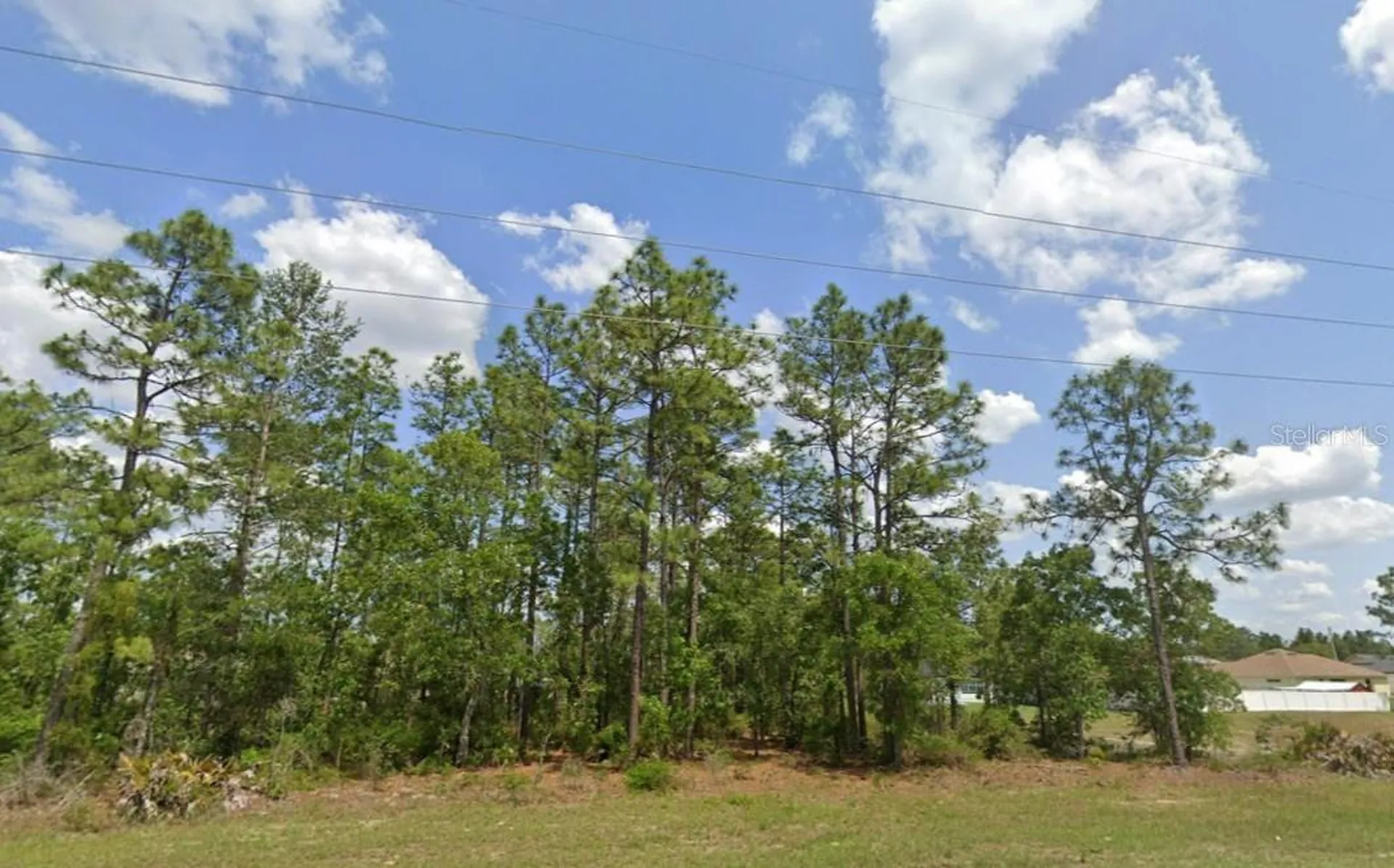 SW 484 Highway Ocala FL 34473