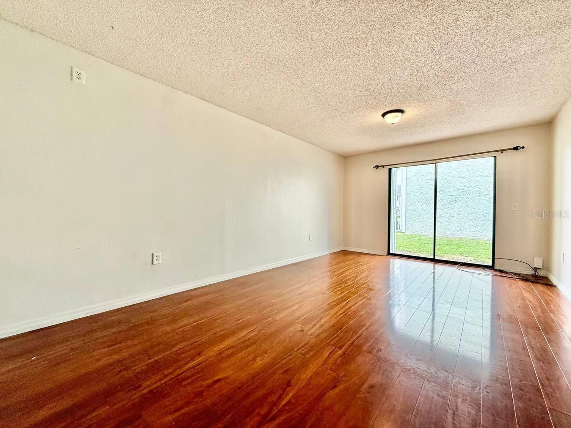 5024 Terrace Palms Circle Tampa FL 33617