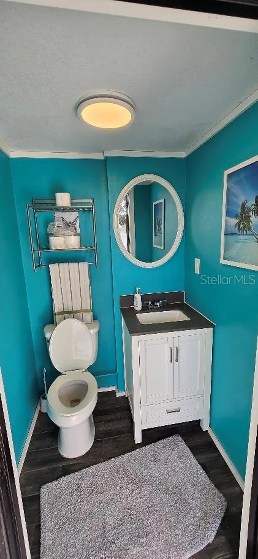 336 Lakecrest Drive Tavares FL 32778
