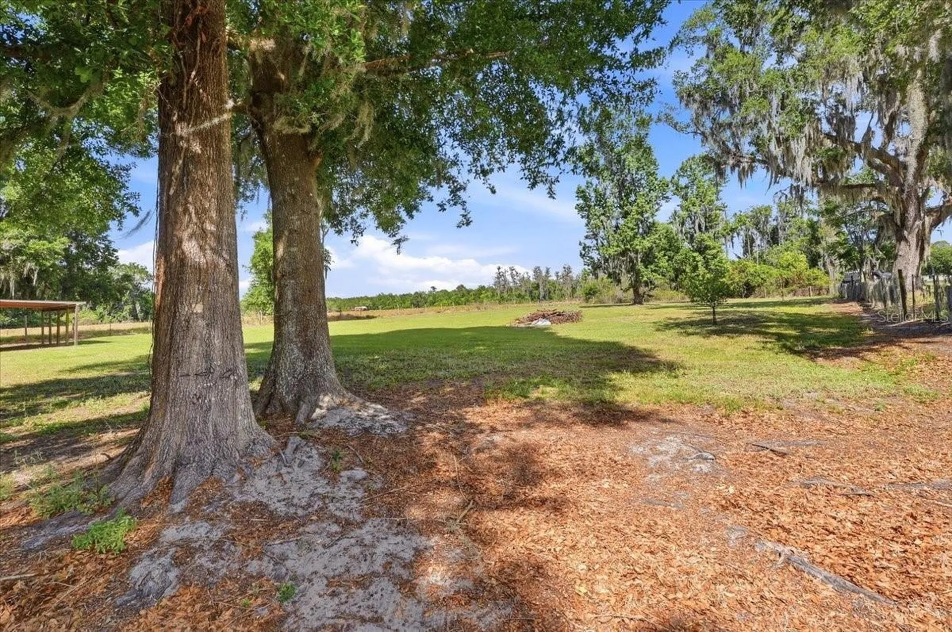 4205 N Combee Road Lakeland FL 33805