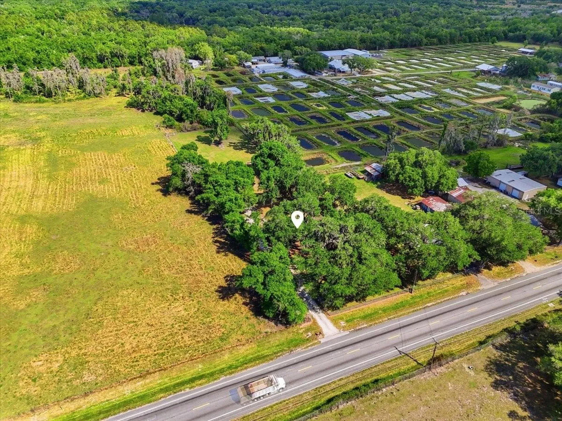 4205 N Combee Road Lakeland FL 33805