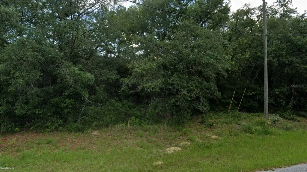 10632 N Skylark Terrace Citrus Springs FL 34434