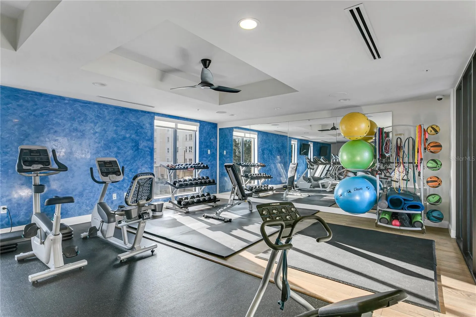 199 Dali Boulevard St Petersburg FL 33701