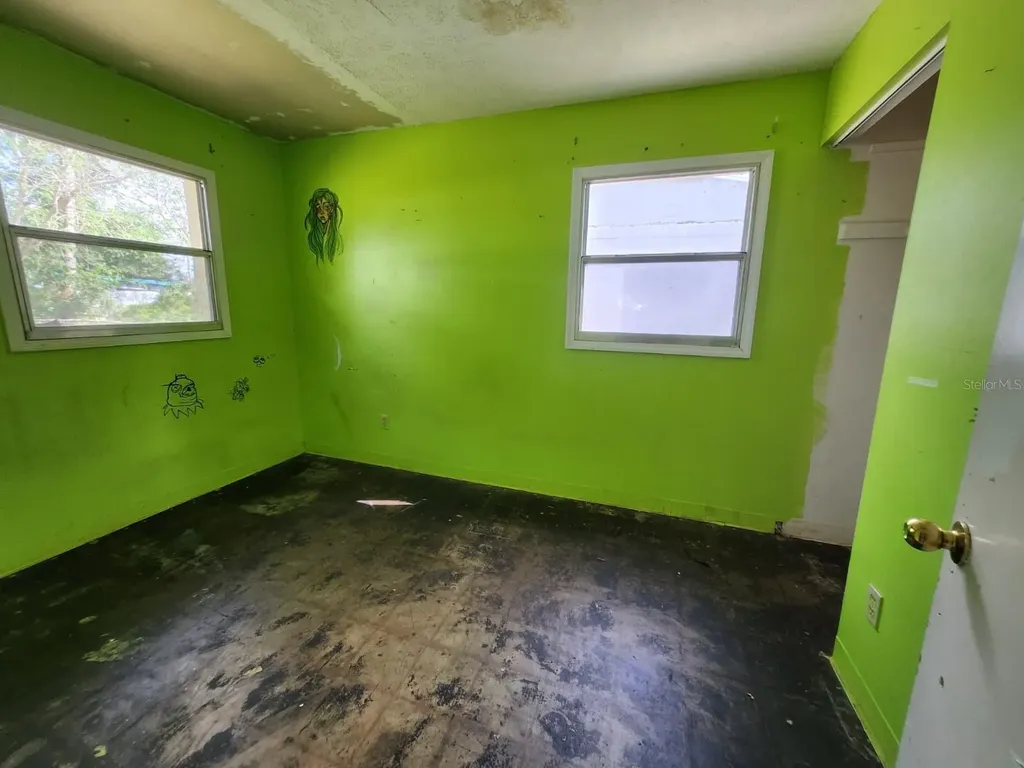 910 Emerald Drive Mount Dora FL 32757