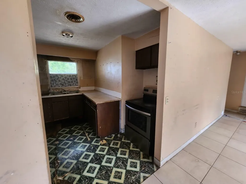 910 Emerald Drive Mount Dora FL 32757
