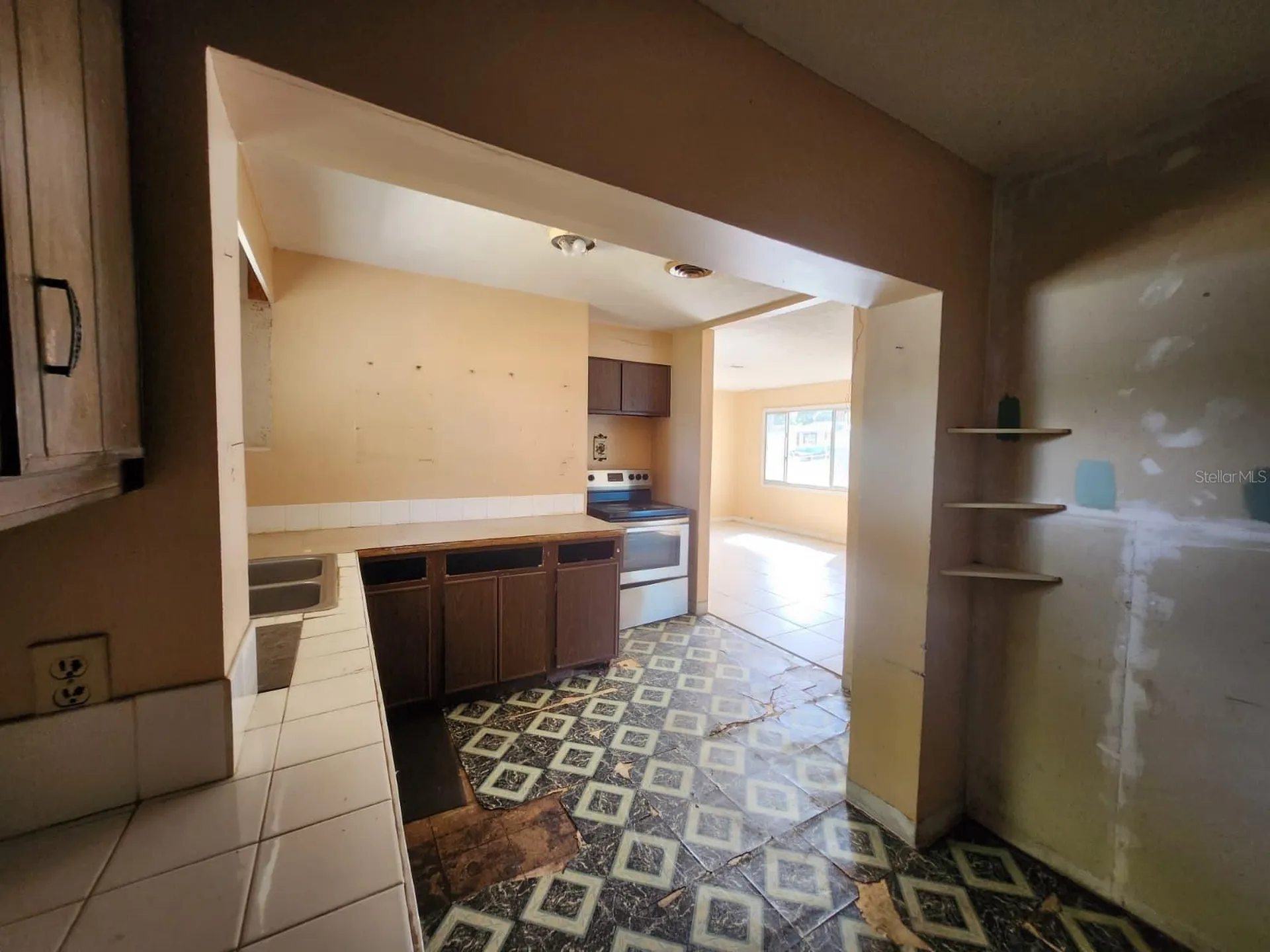 910 Emerald Drive Mount Dora FL 32757