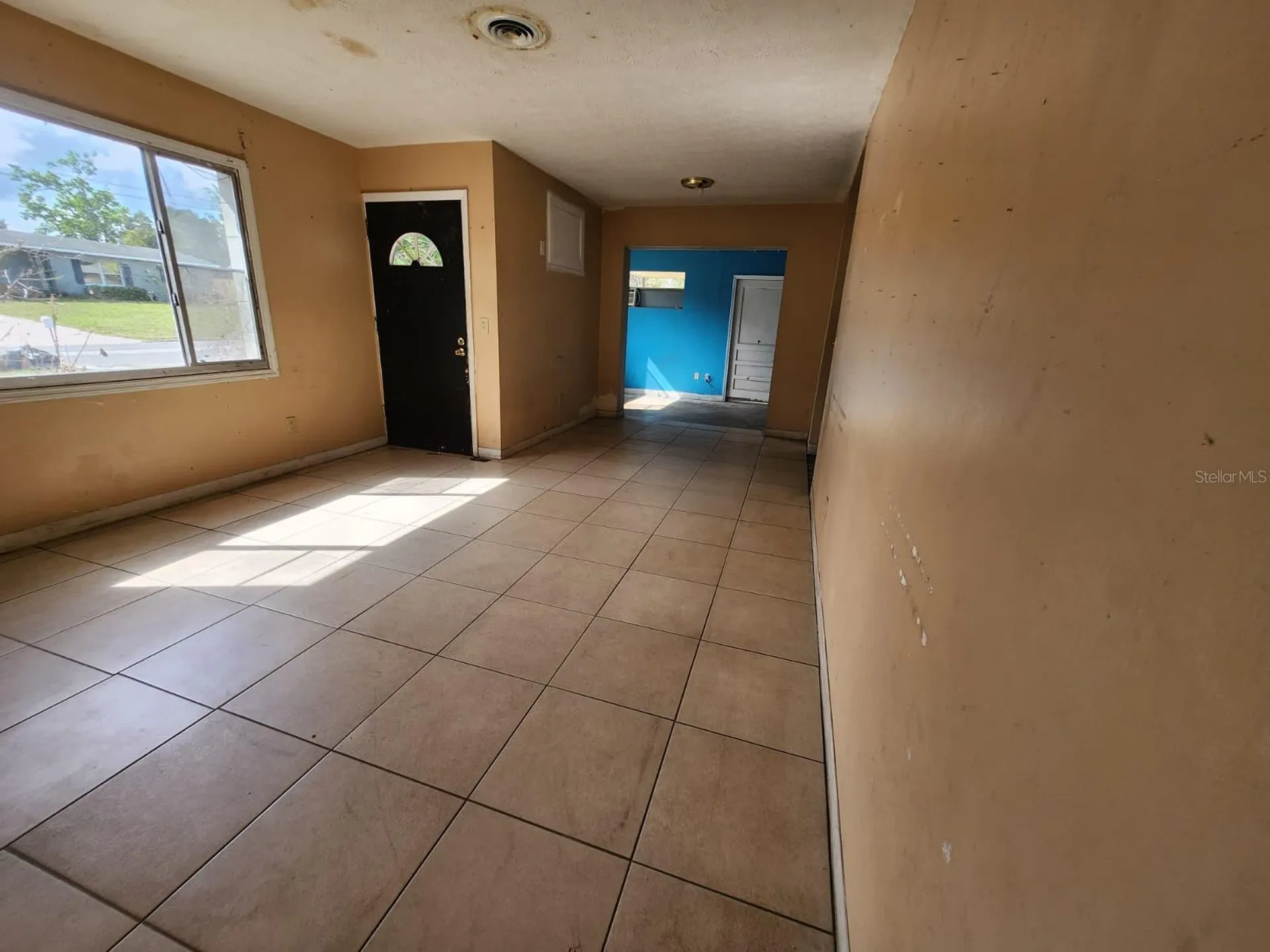 910 Emerald Drive Mount Dora FL 32757