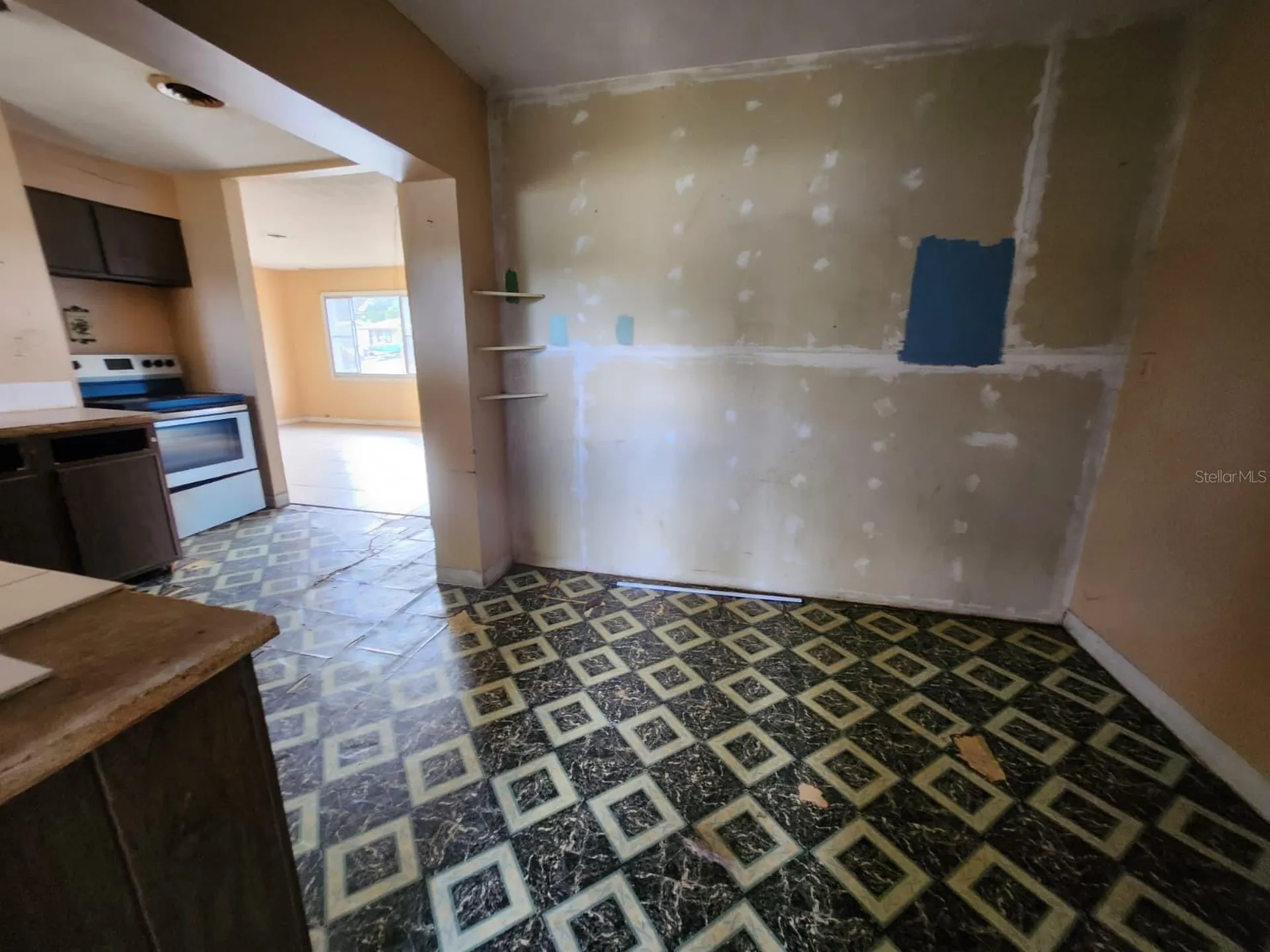 910 Emerald Drive Mount Dora FL 32757