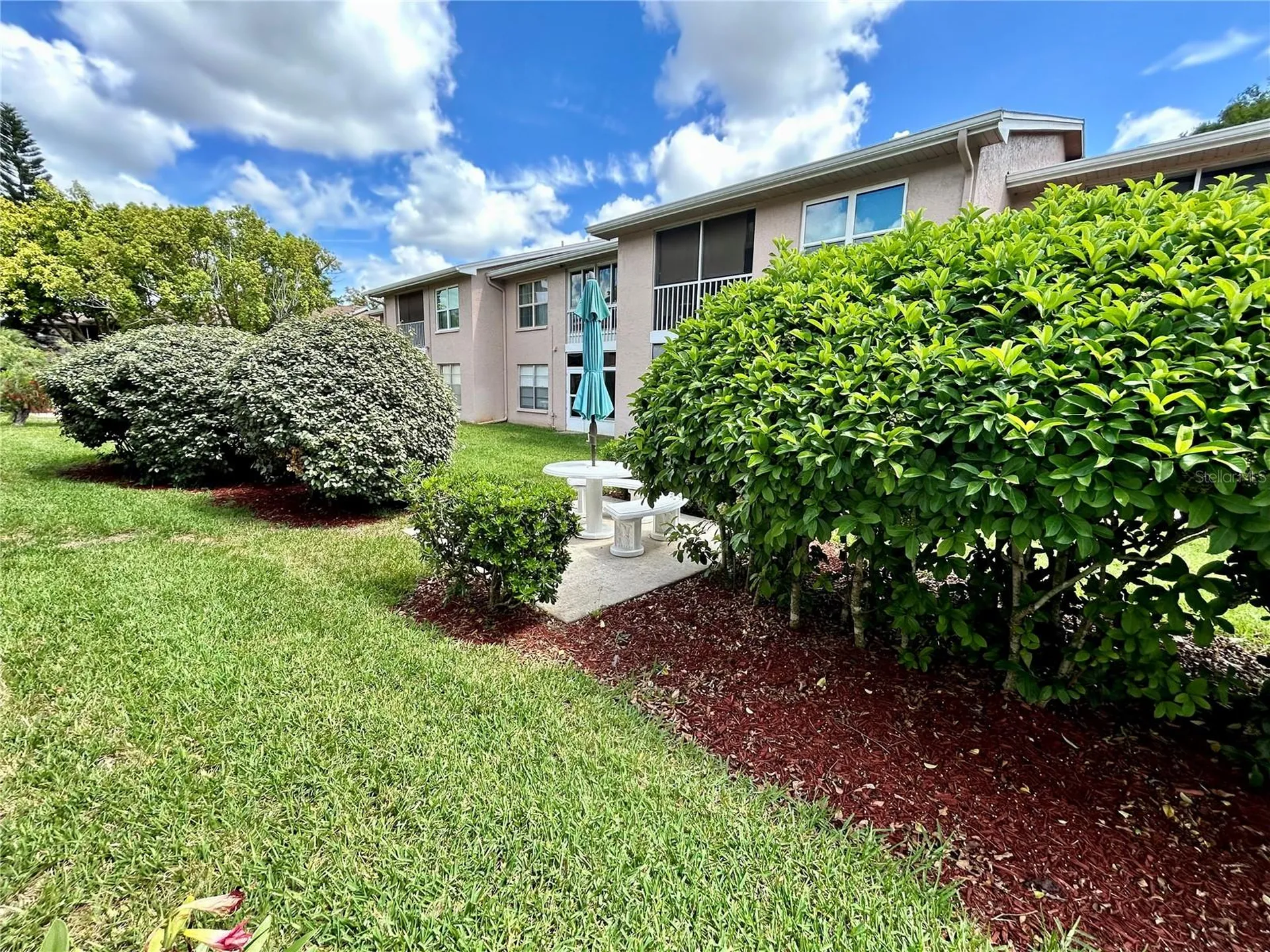 4908 Myrtle Oak Drive New Port Richey FL 34653