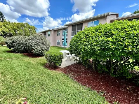 4908 Myrtle Oak Drive New Port Richey FL 34653