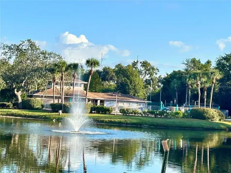4908 Myrtle Oak Drive New Port Richey FL 34653