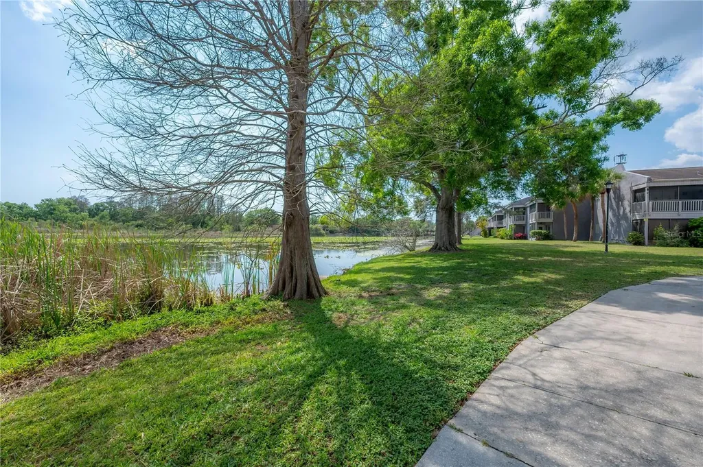 4016 Cortez Drive Tampa FL 33614