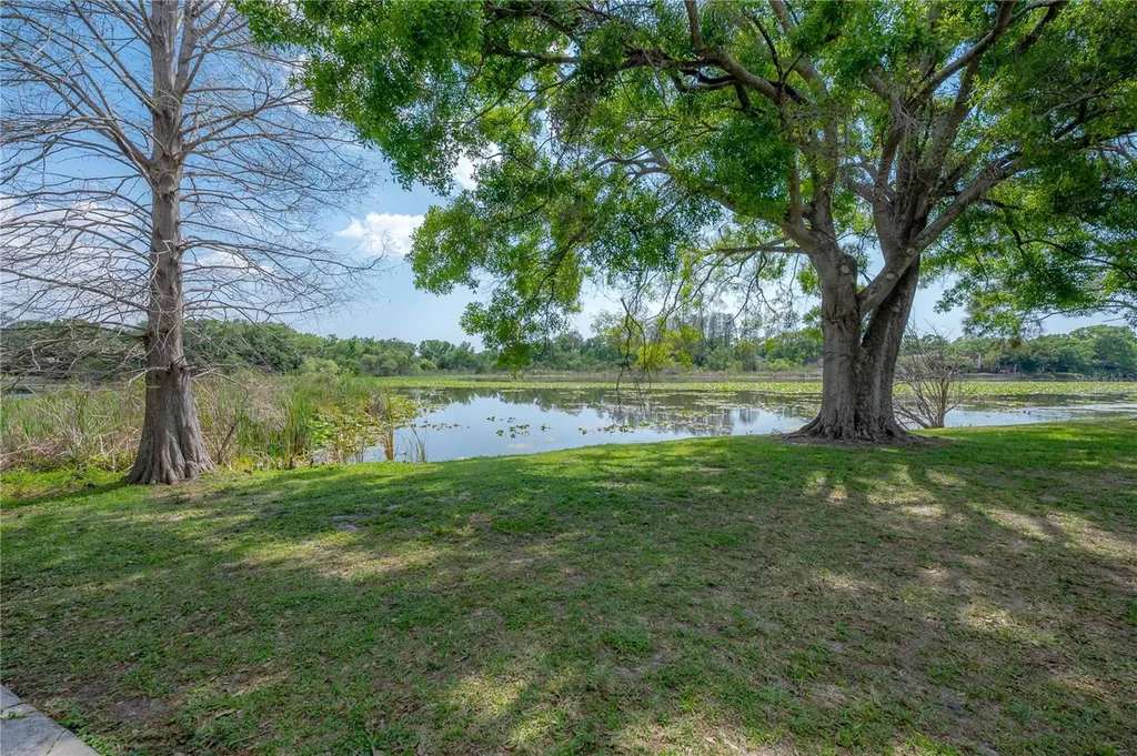 4016 Cortez Drive Tampa FL 33614