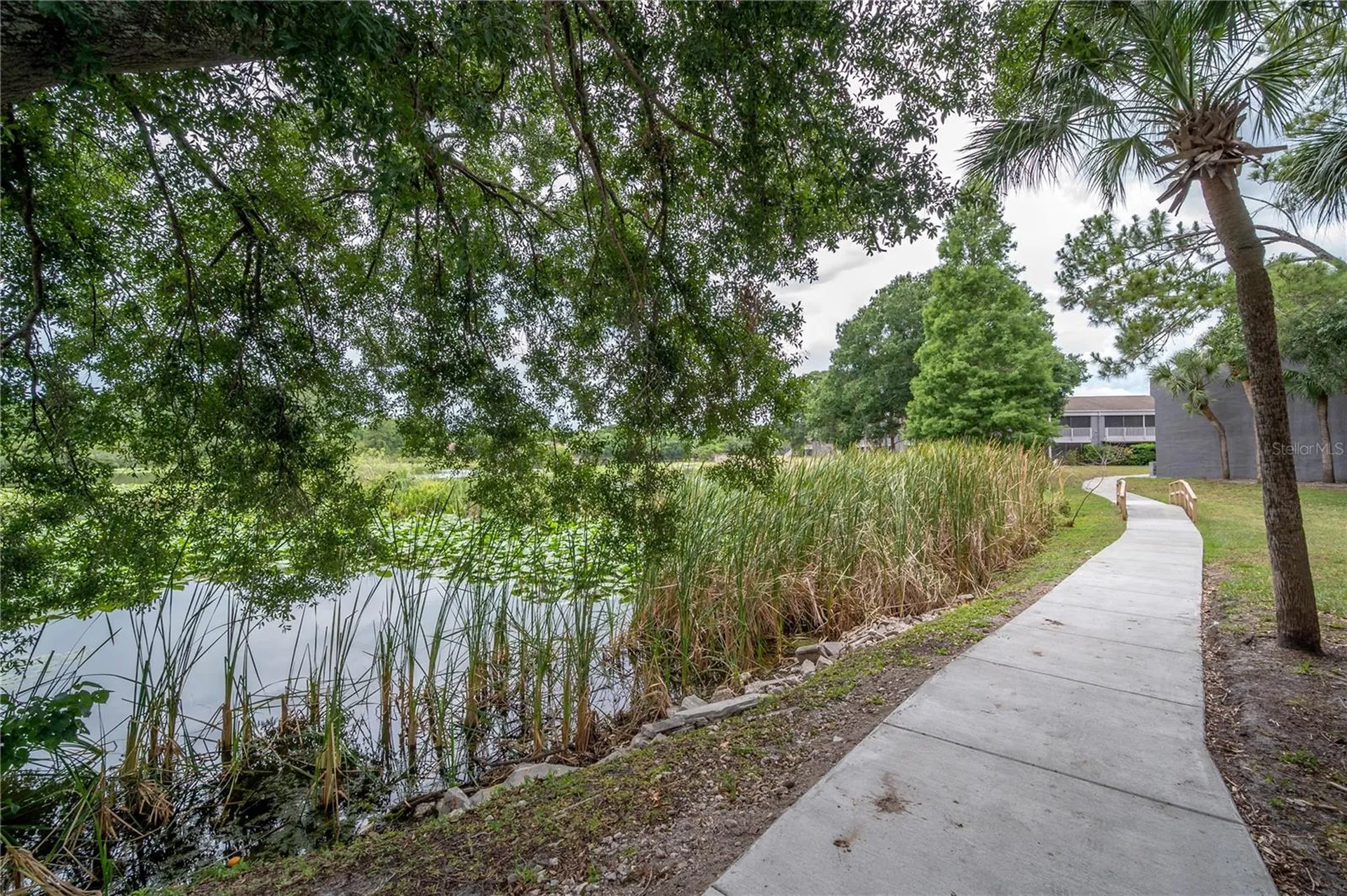 4016 Cortez Drive Tampa FL 33614