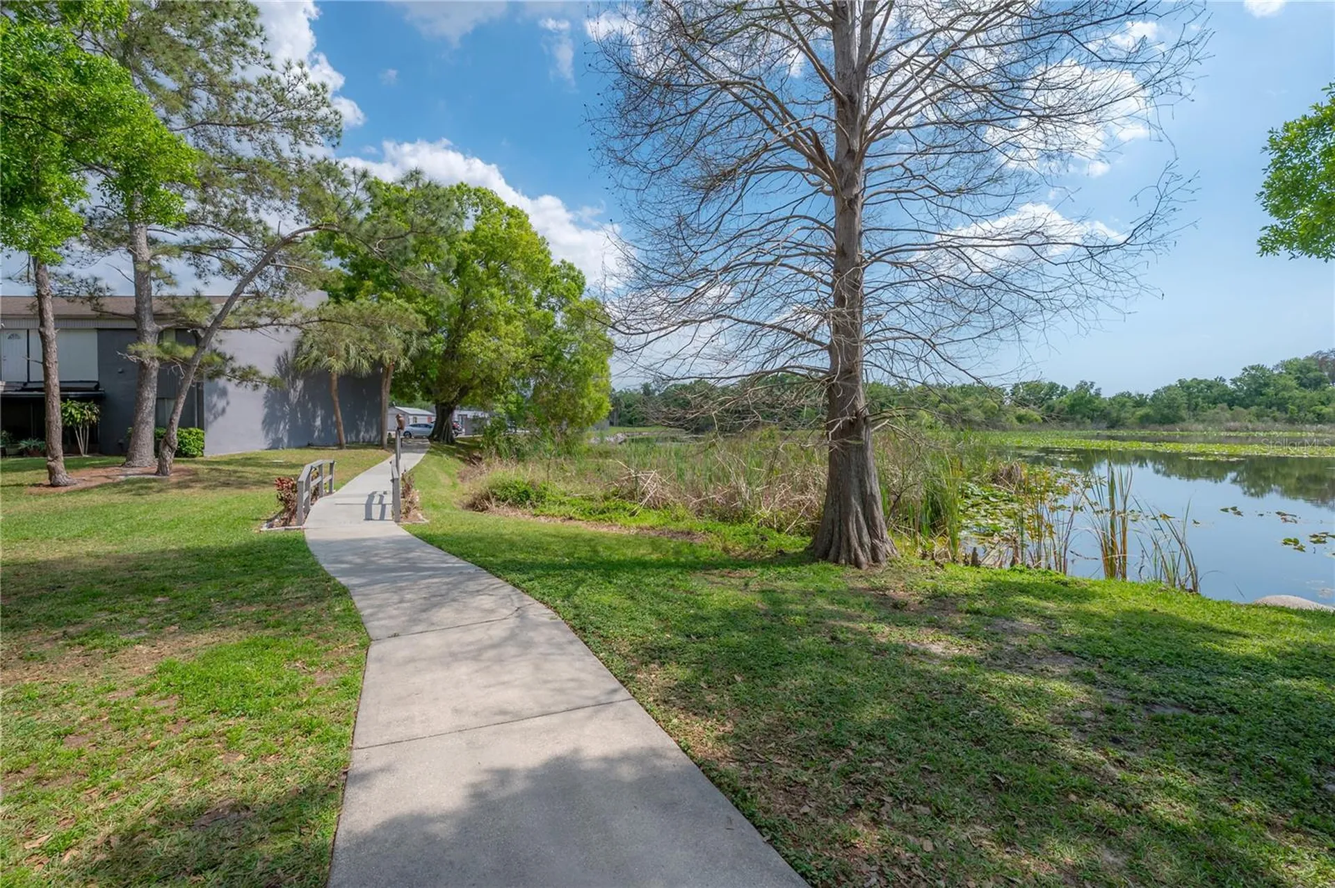 4016 Cortez Drive Tampa FL 33614
