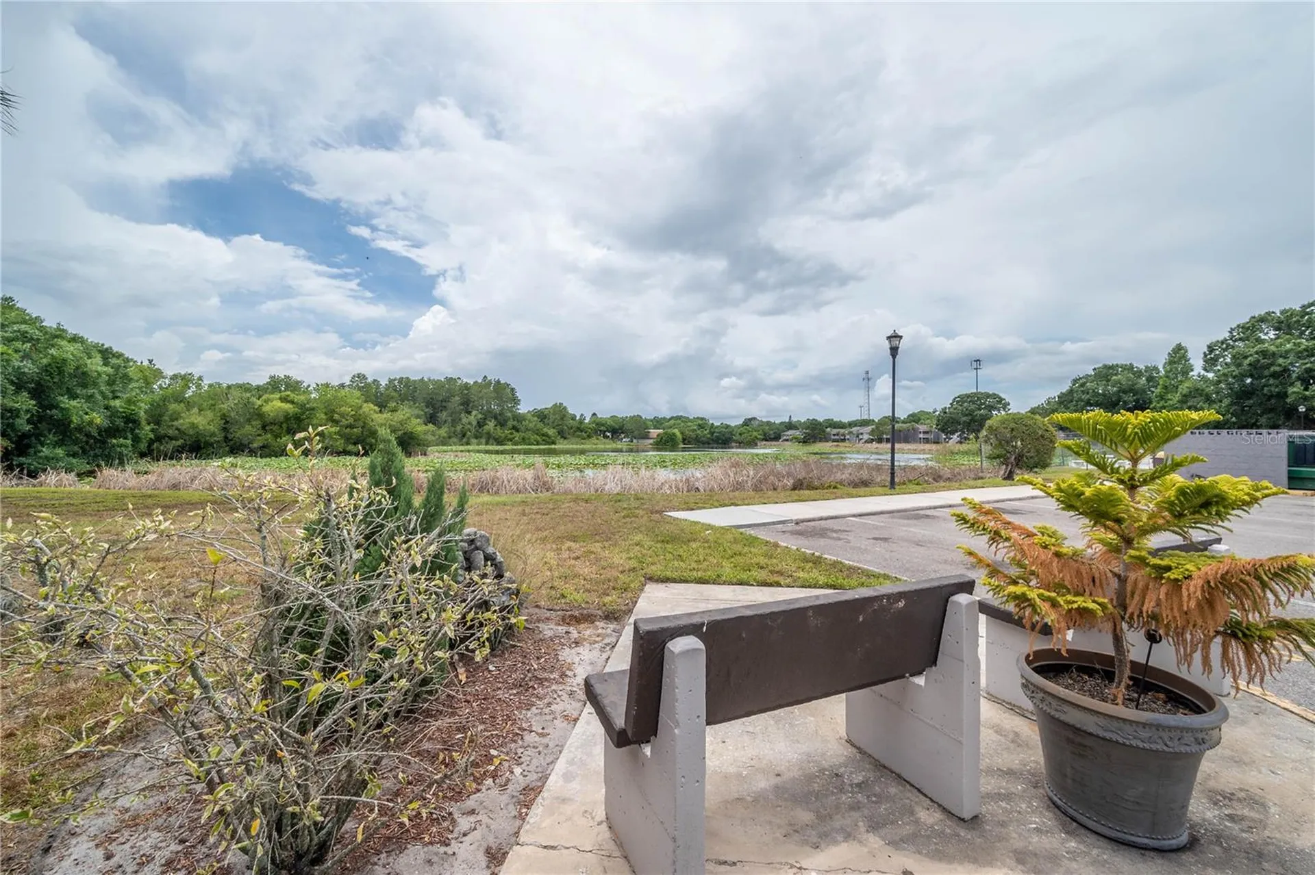 4016 Cortez Drive Tampa FL 33614