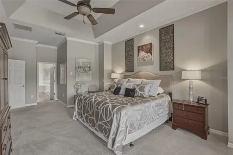 19743 Prince Benjamin Drive Lutz FL 33549