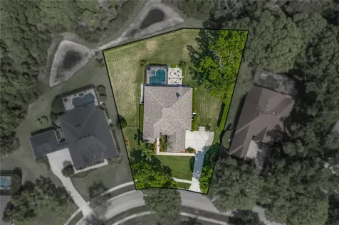 19743 Prince Benjamin Drive Lutz FL 33549