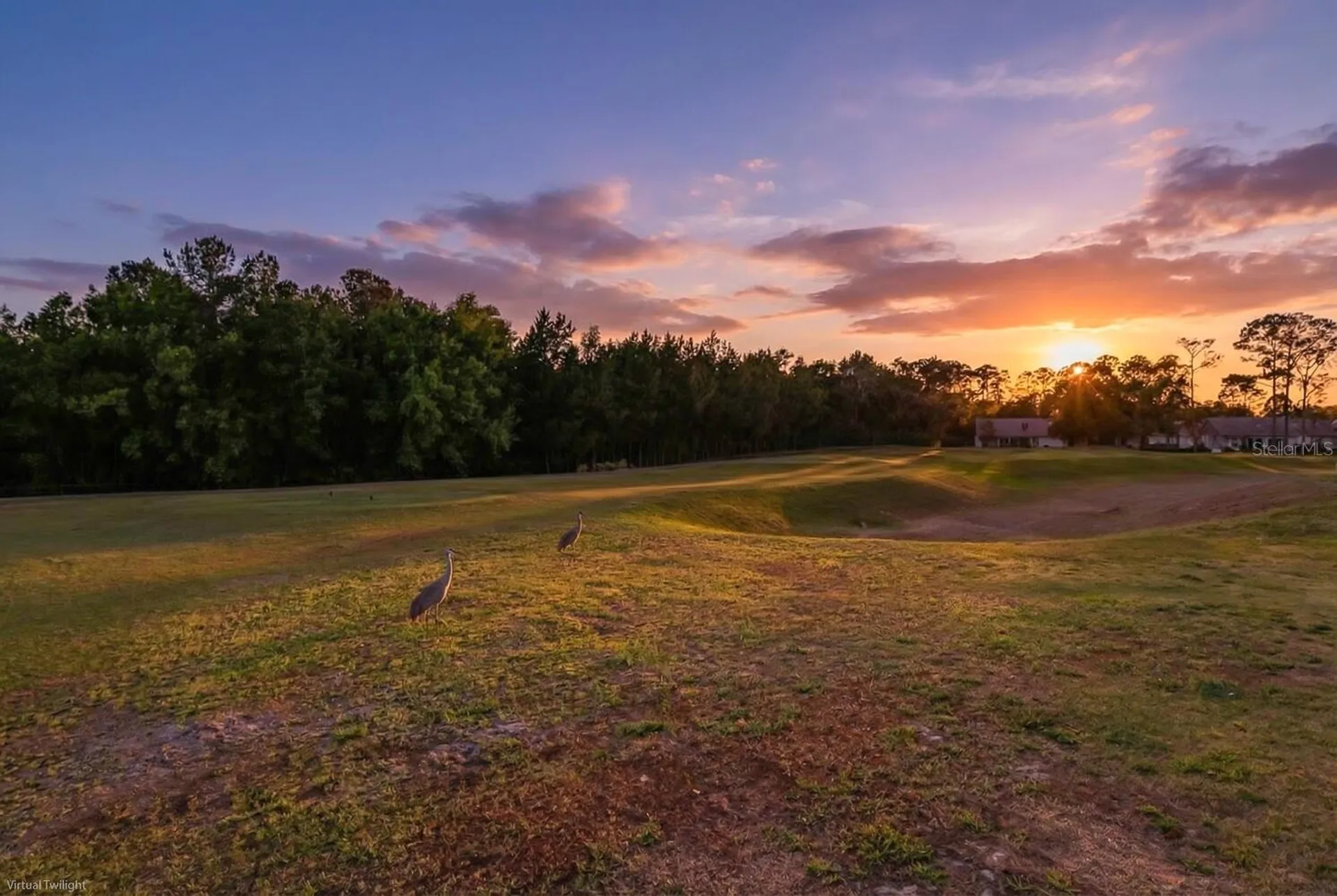 11718 Wheatfield Loop Hudson FL 34667