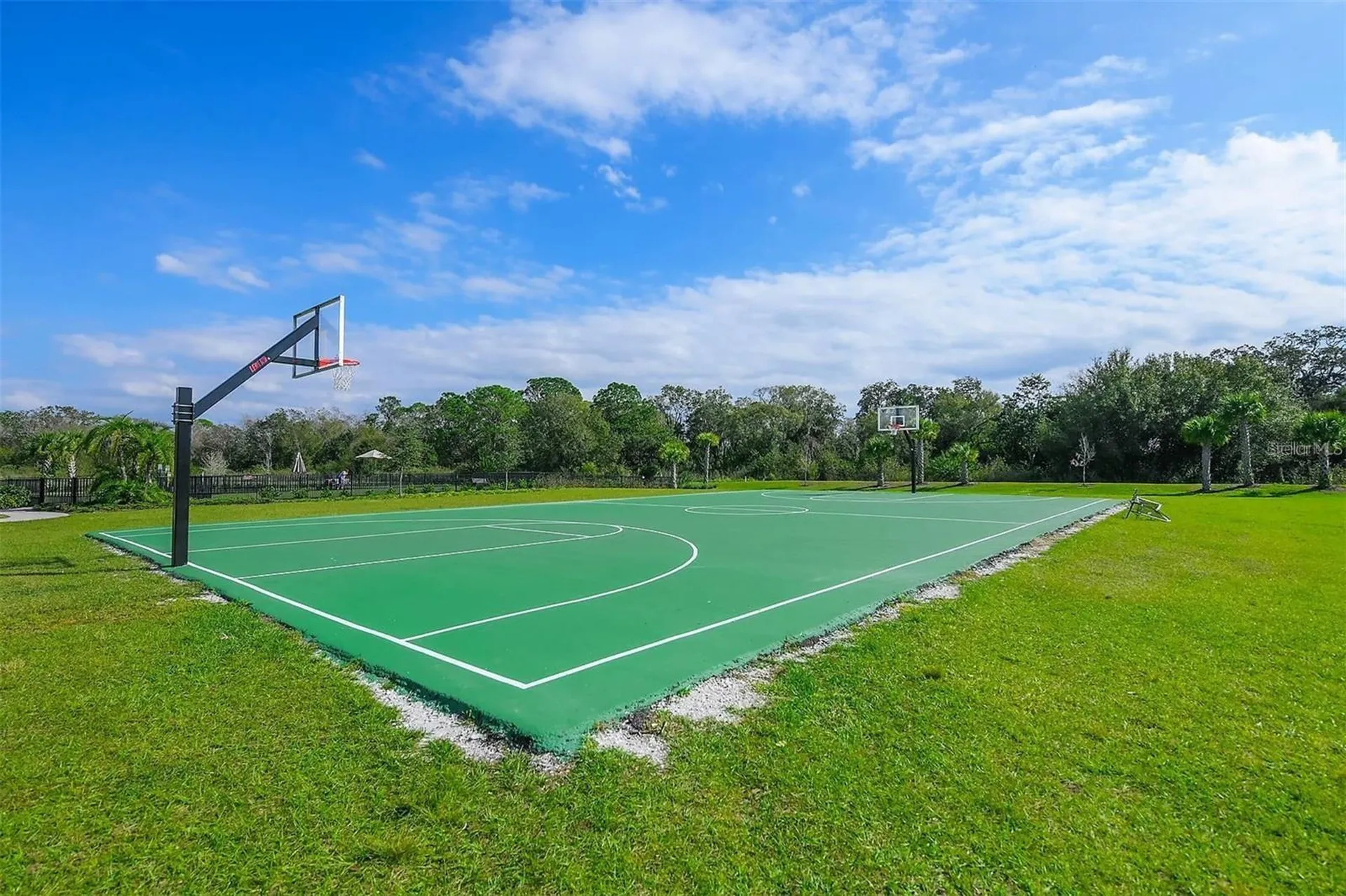 3806 Savanna Palms Court Lakewood Ranch FL 34211