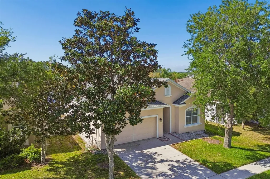 30610 Casewell Place Wesley Chapel FL 33545