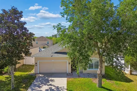 30610 Casewell Place Wesley Chapel FL 33545