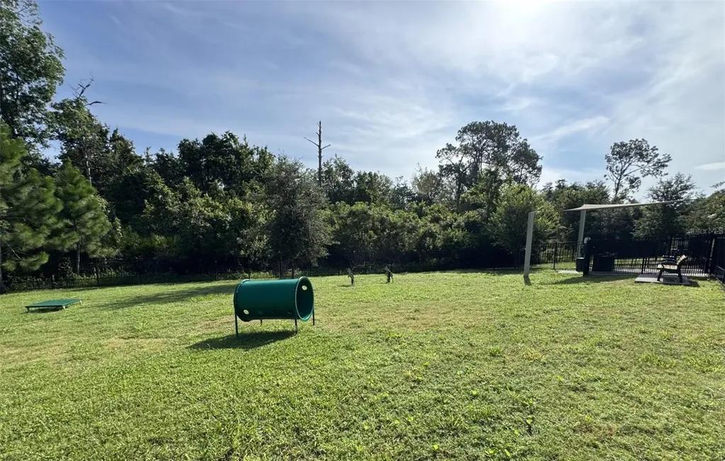 17006 Seville Orange Road Winter Garden FL 34787