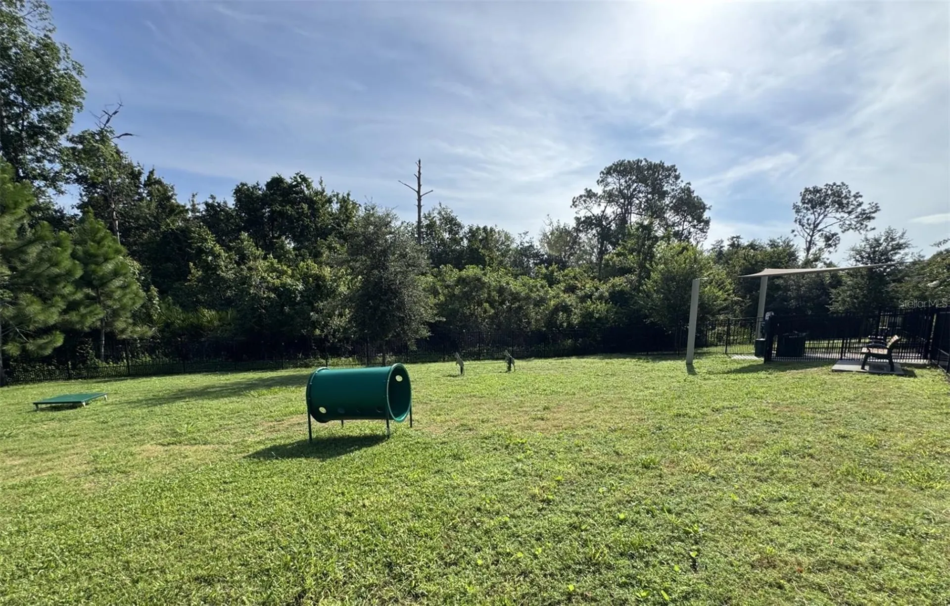 17006 Seville Orange Road Winter Garden FL 34787