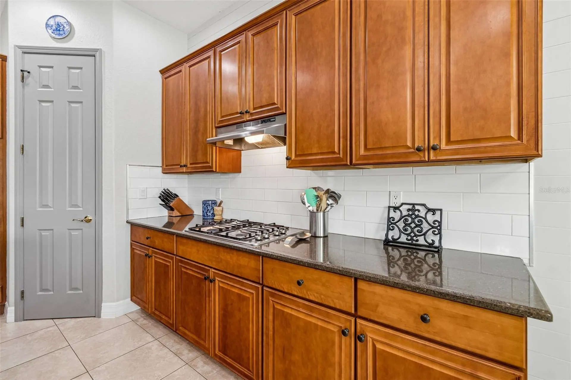 11830 Newberry Grove Loop Riverview FL 33579