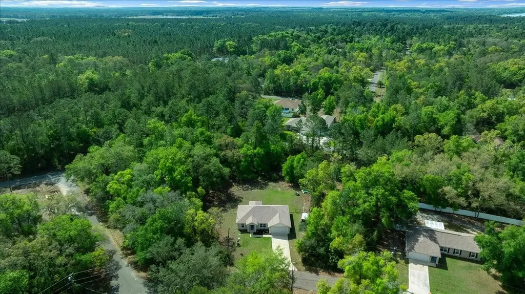 8 Guava Pass Trail Ocklawaha FL 32179