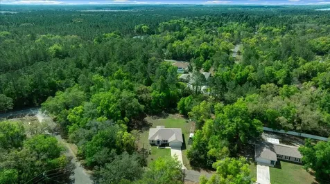 8 Guava Pass Trail Ocklawaha FL 32179