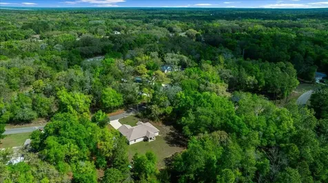 8 Guava Pass Trail Ocklawaha FL 32179