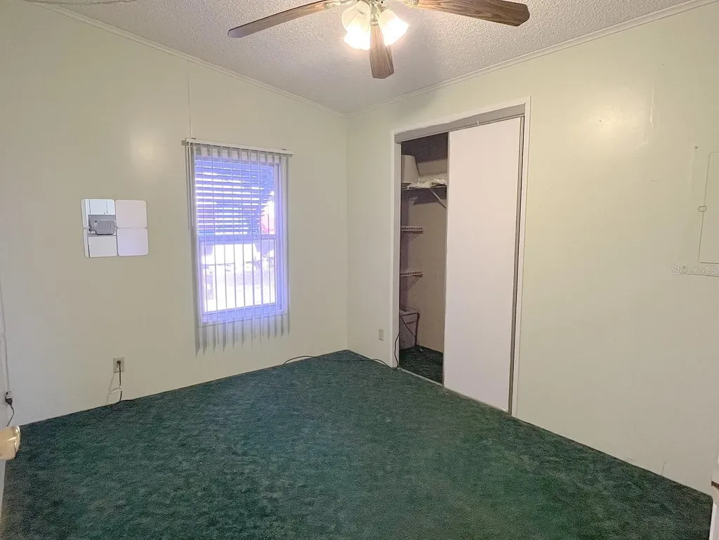 3135 Great Oak Street Wesley Chapel FL 33543