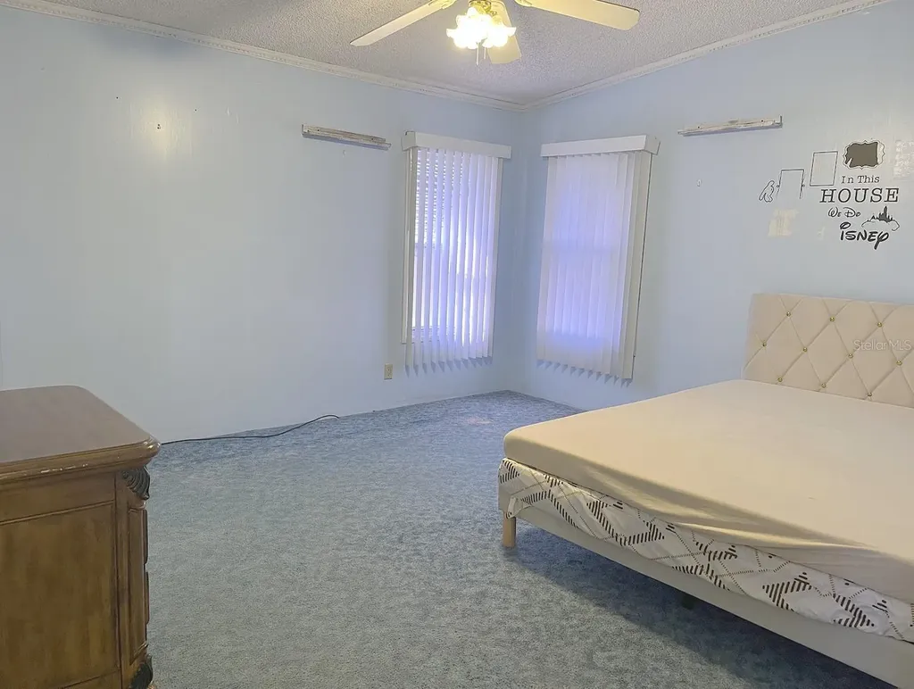 3135 Great Oak Street Wesley Chapel FL 33543